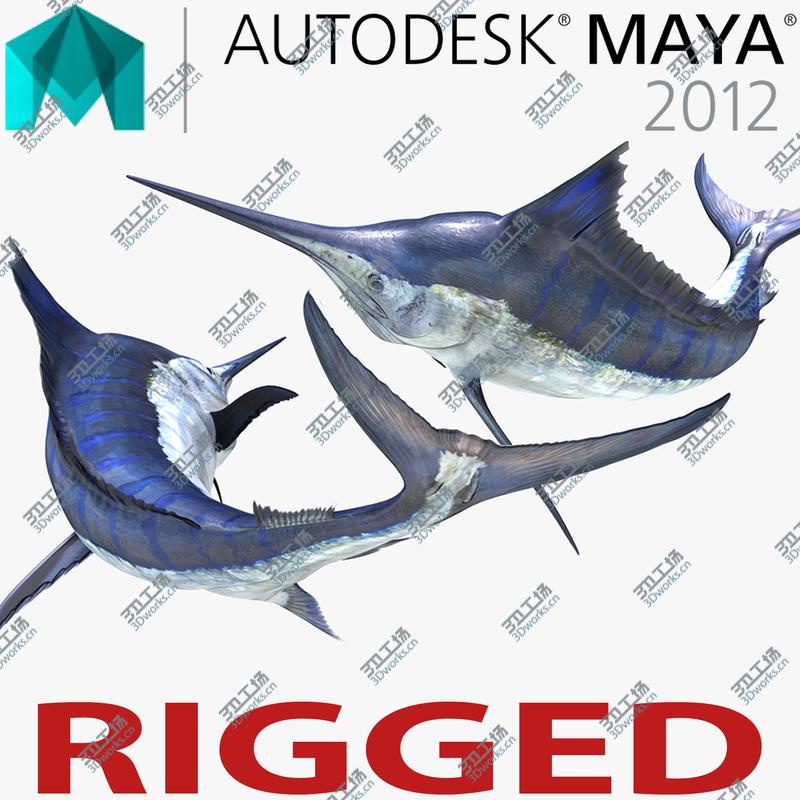 images/goods_img/202105074/Blue Marlin Rigged for Maya/1.jpg
